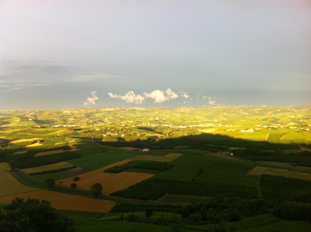La Vigna Del Parroco Verduno Quarto foto